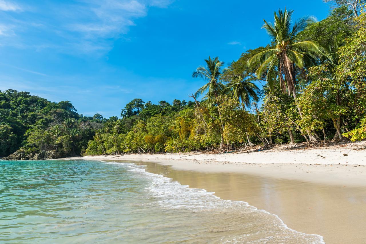 Buena Vista Beach Villas Manuel Antonio Kültér fotó